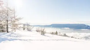 Photographe mariage et entreprise en Savoie – Mon histoire entre Aix-les-Bains, Annecy et Chambéry