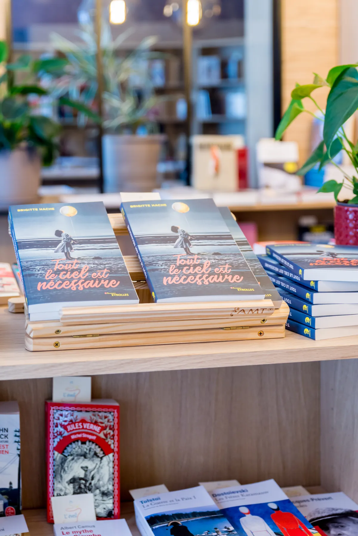 Livres “Tout le ciel est nécessaire” de Brigitte Hache en librairie, roman publié chez Eyrolles