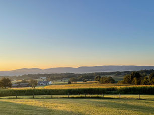 A serene landscape at Kateri Weddings and Events captures the essence of Southern Weddings in Virginia, where rolling hills and vibrant fields paint the perfect backdrop for celebrating love.