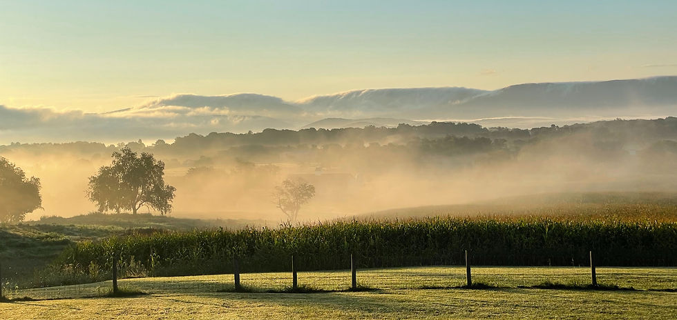 Morning sun meets the fields of Kateri Weddings, a glorious morning in the Shenandoah Valley. This is where Virginia is for Lovers!