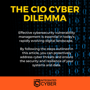The CIO Cyber Dilemma