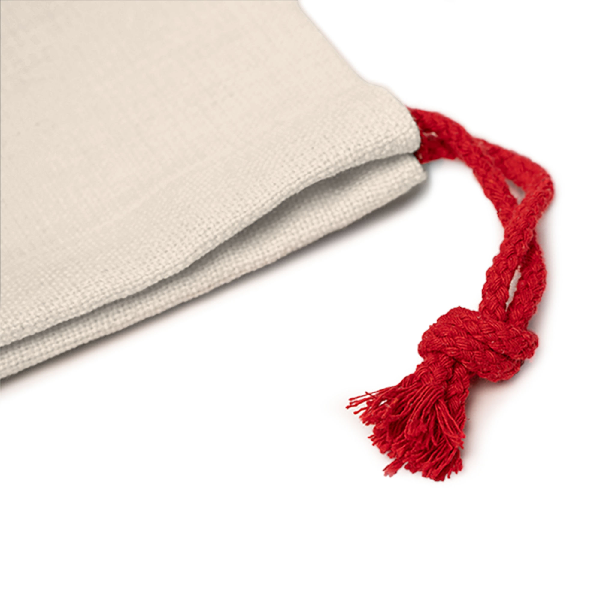 Santa Crow Gift Bag