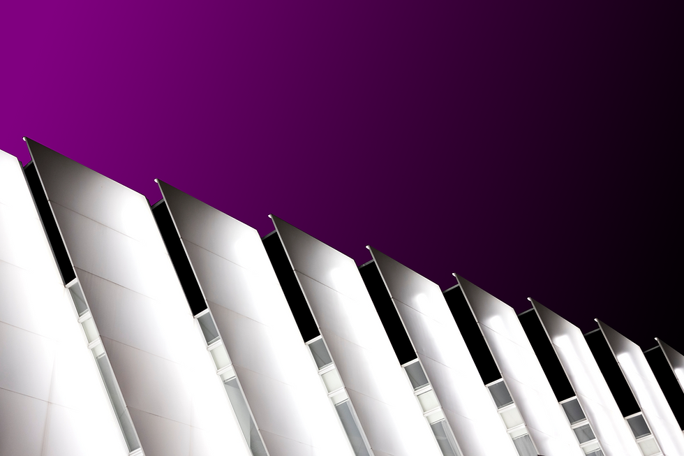 Header Image Purple Koru Website 21July2025.png