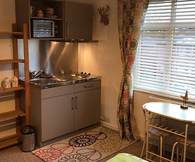 Impressive, bright and recently refurbished large double en-suite studio - Room 2