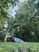Free & Fit - Powerful Prayers & Petitions from Peter - Scripture, Prayer & Reflections on 1 Peter 5