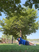 Free & Fit - Powerful Prayers & Petitions from Peter - Scripture, Prayer & Petitions