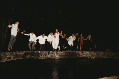 giphy.gif