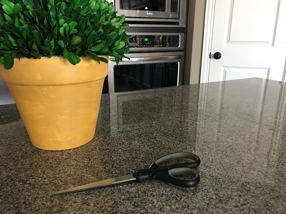 My Kitchen Scissors Next to a Fake Plant