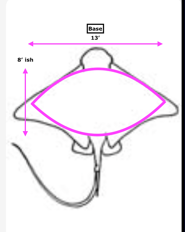 Bat Ray Shaped Base