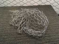 Chicken Wire Maquette