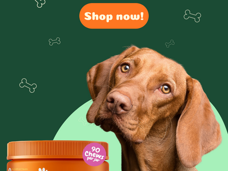 Zesty Paws Mobility Bites Dog Joint Supplement - Hip and Joint Chews for Dogs