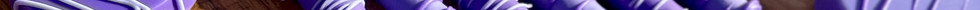 IMG_4337.JPG
