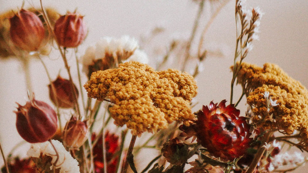 What exactly is OCD?