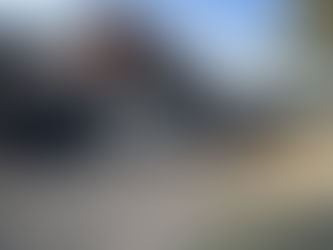 The Famous Five’s New Forest Adventure – Wait, There Were Seven of Us?!"