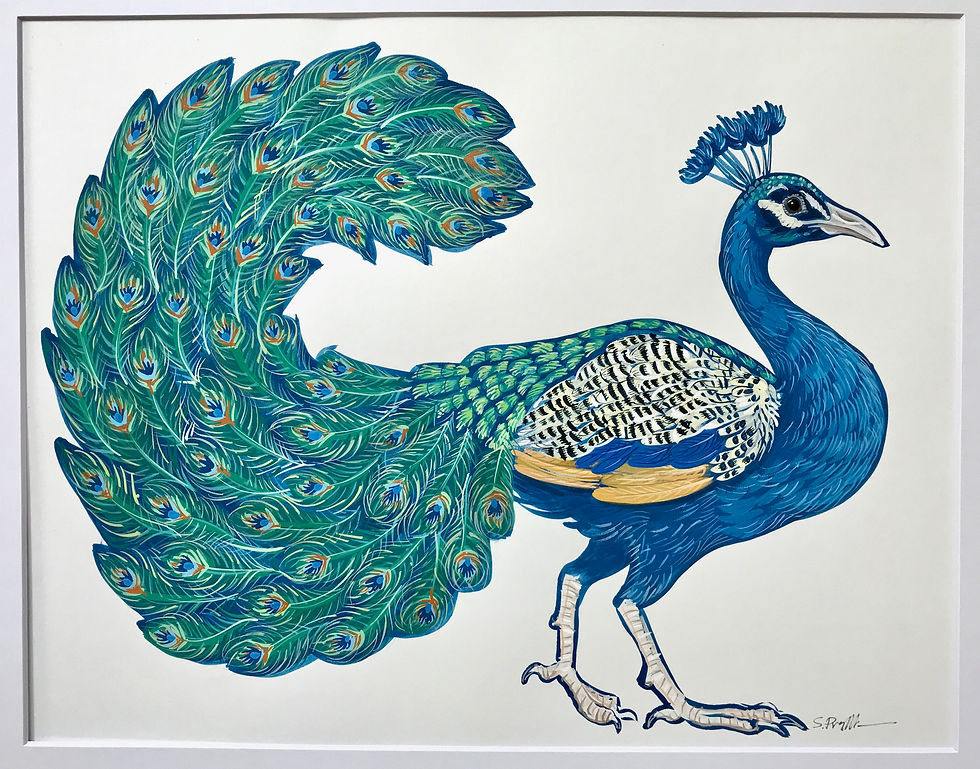 Pretty as a Peacock
