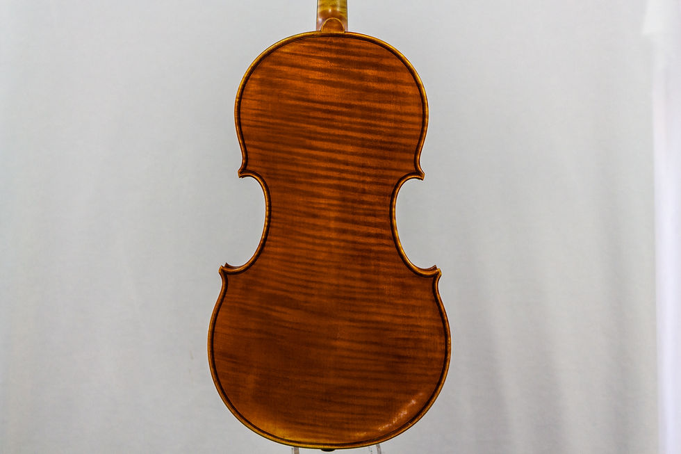Leo Aschauer Viola Back