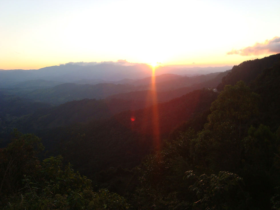 DSC07323.JPG