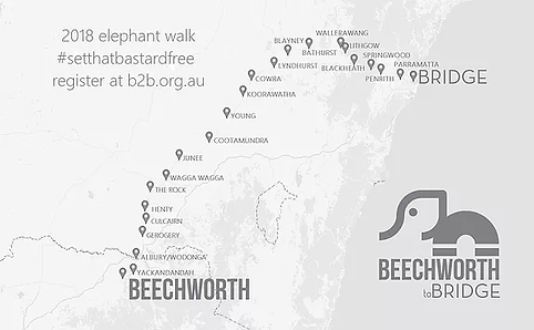 B2Bs 2018 Elephant Walk.webp