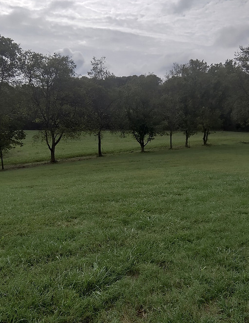 Reclaim land for clients