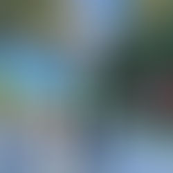 [여행지/플로리다 Key West/관광지] Mile Marker 0