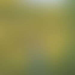 [여행지/캘리포니아 Chino Hills/공원] Chino Hills State Park