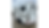 Thumbnail: 2025 4-Star Trailers 16' straight Load 2 Horse Gooseneck