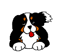 dog day care, dog grooming, dog boarding