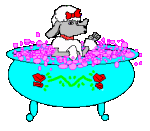 dog day care, dog grooming, dog boarding