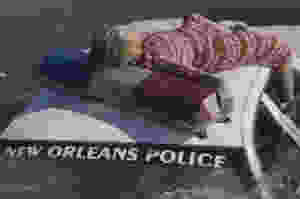 popo