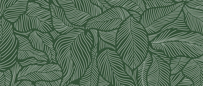 AdobeStock_387970356 (1).jpeg