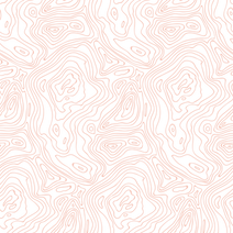 Topography.png