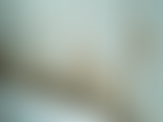 How to Spot Mold Early in Your Home