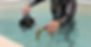 IMG-20241214-WA0010_edited.jpg