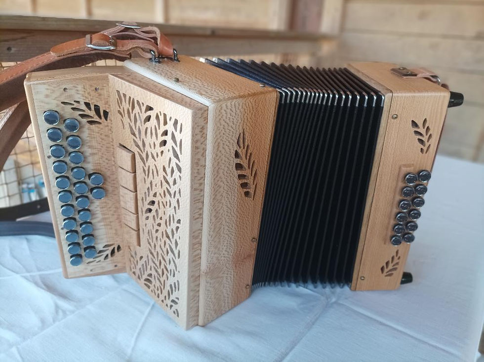 2 rgs 3 voix platane