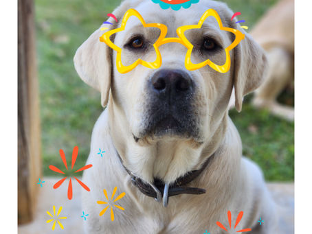 Happy Birthday Chloe!