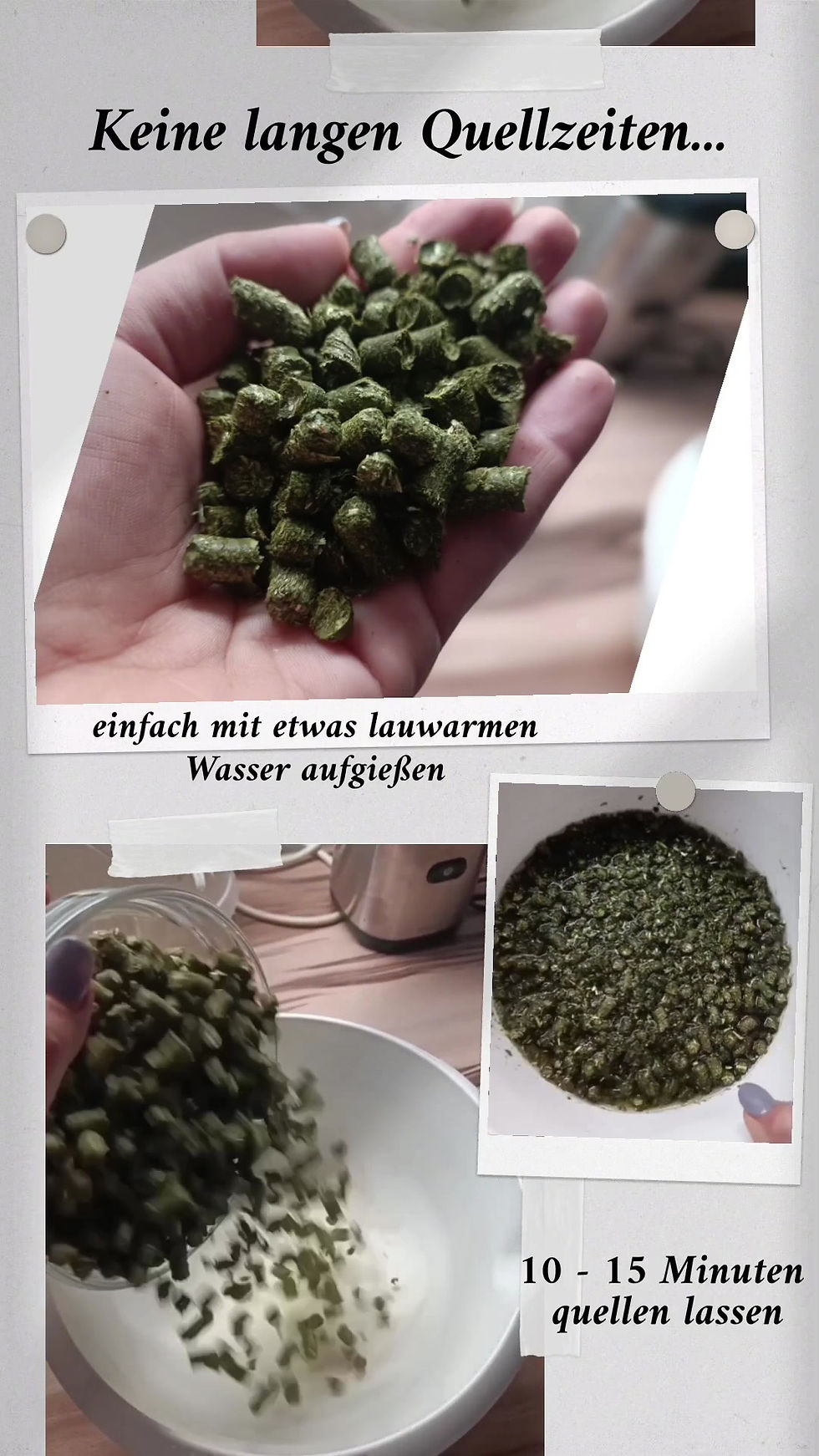 Miniaturbild: Grün-Sticks
