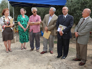 Beda t-tgħasir taż-żebbuġ