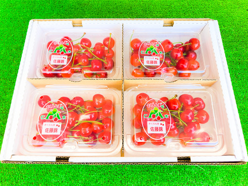 佐藤錦 秀品 L玉以上 800g(200g 4パック) バラ詰め【7月1日〜20日発送