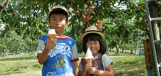 SNS割引キャンペーン | さくらんぼ山観光農園