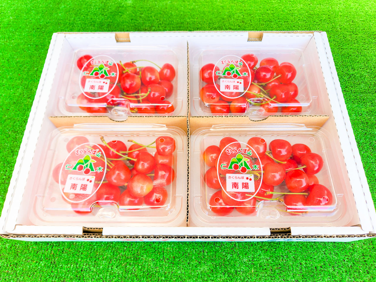 南陽 秀品 L大きめ〜2L玉 800g(200g 4パック) バラ詰め【7月8日〜25日発送】