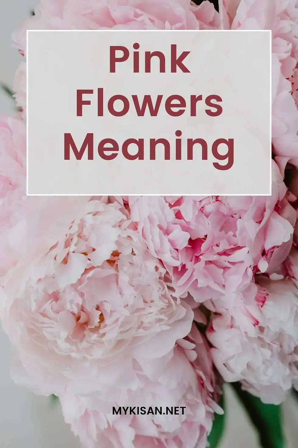 Pink flowers can symbolize love, passion, and sentiment. They can also represent happiness, gentleness, and femininity