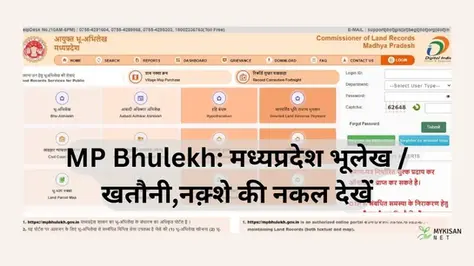 MP Bhulekh: घर बैठे अपने भूलेख खसरा खतौनी की पूरी जानकारी देखें