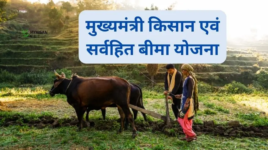 मुख्यमंत्री किसान एवं सर्वहित बीमा योजना,Kisan And Sarvhit Bima Yojana Apply Online