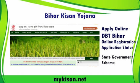 DBT Agriculture Bihar: ऑनलाइन आवेदन कैसे करें, जानिए सरल प्रक्रिया