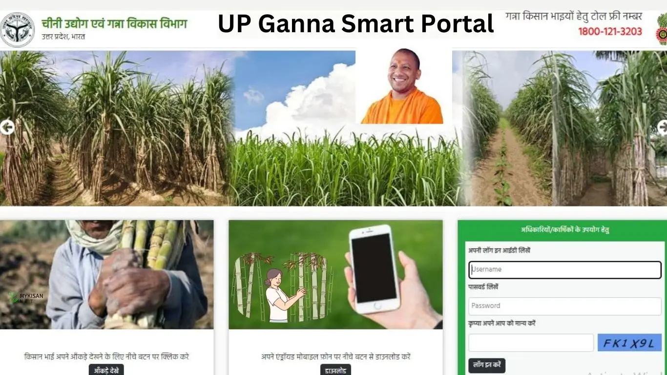 गन्ना पर्ची देखे 2024 Cane up.in EGanna UP My Kisan