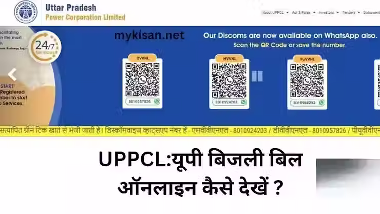 How to Check & Pay UPPCL Electricity Bill Online