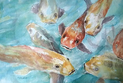 Koi.jpg