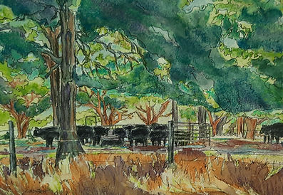 Under The Trees 2.jpg
