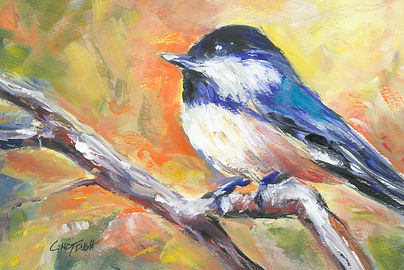 Blue Bird OSP scan cropped.jpg