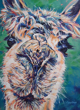 Llama 2.jpg